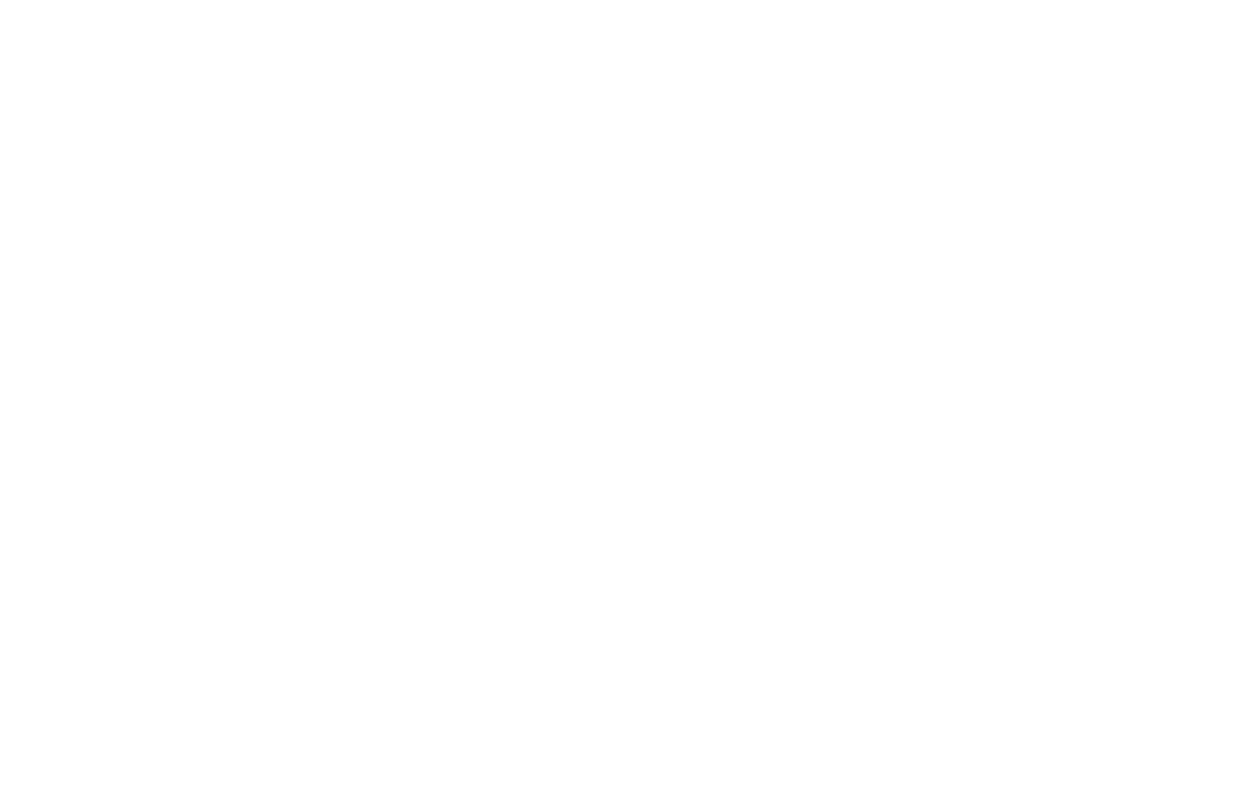 Item 1